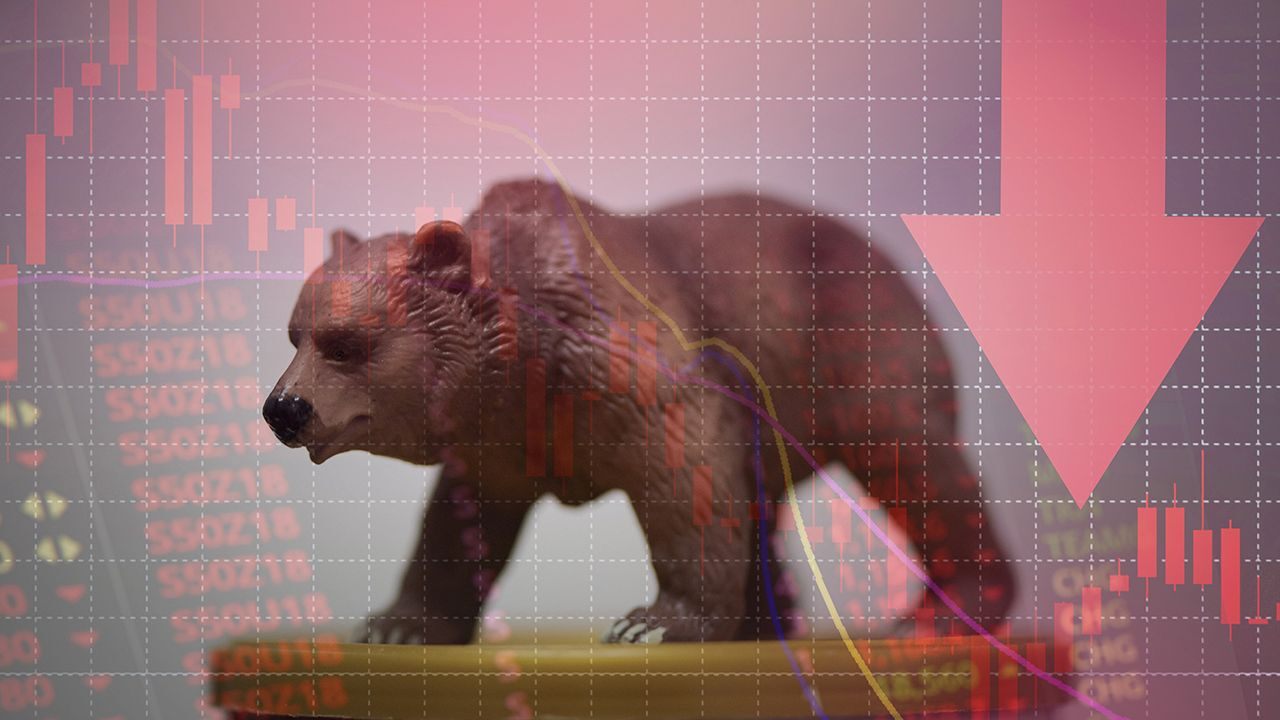 Bear e Bull market, o que são?