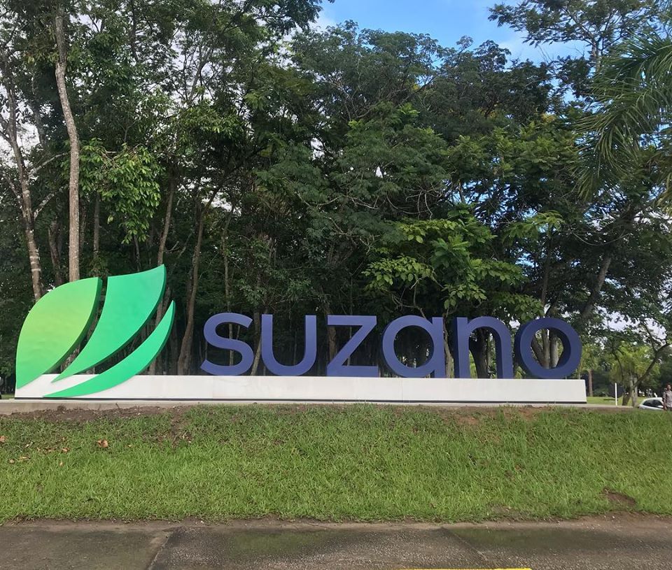 Suzano - SUZB3