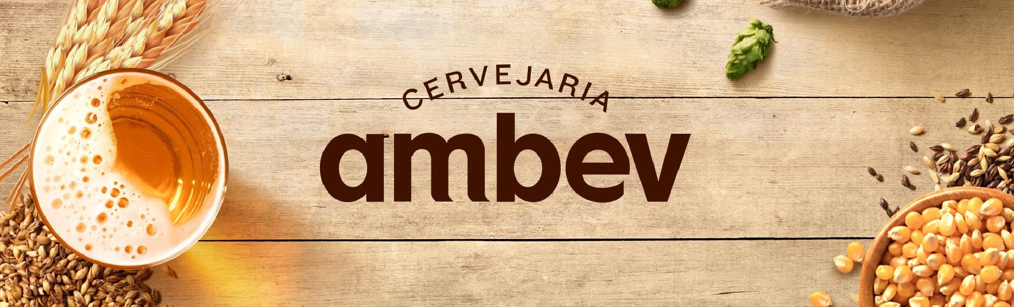 Marcel Herrmann Telles, quem é? Vida, carreira e gestão da Brahma