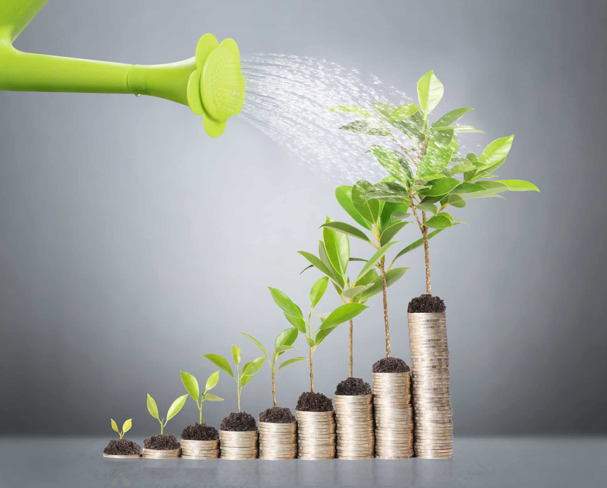 Economizar Dinheiro Dicas Para Poupar E Onde Investir Seu Dinheiro economizar-dinheiro-dicas-para-poupar-e-onde-investir-seu-dinheiro