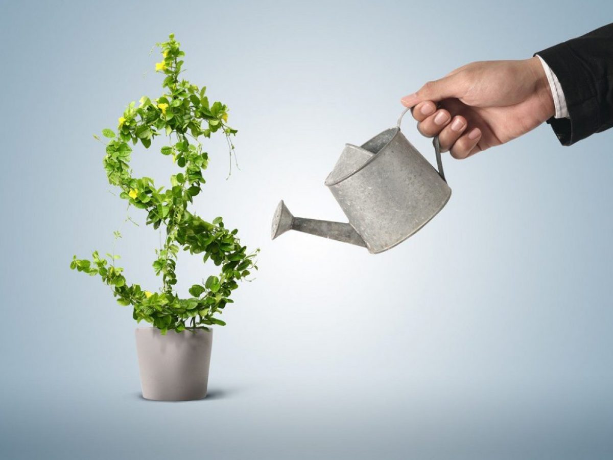 Green bonds: títulos verdes são opção para investir seu dinheiro em  projetos ambientais, Finanças