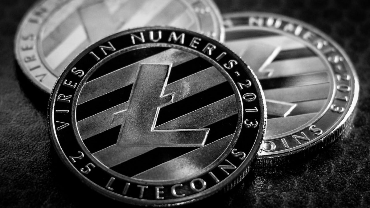 Litecoin, o que é? Mineração, diferenças entre Bitcoin e como comprar –  Investidor Sardinha