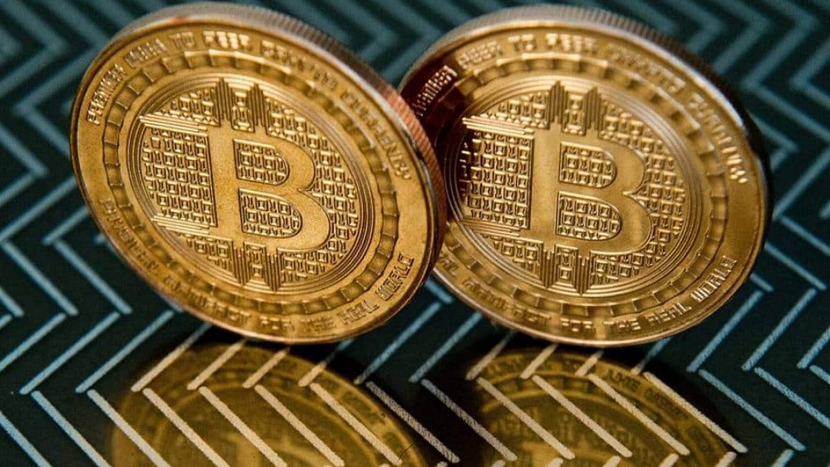 Halving do Bitcoin, o que é? Como funciona e valorização da criptomoeda –  Investidor Sardinha