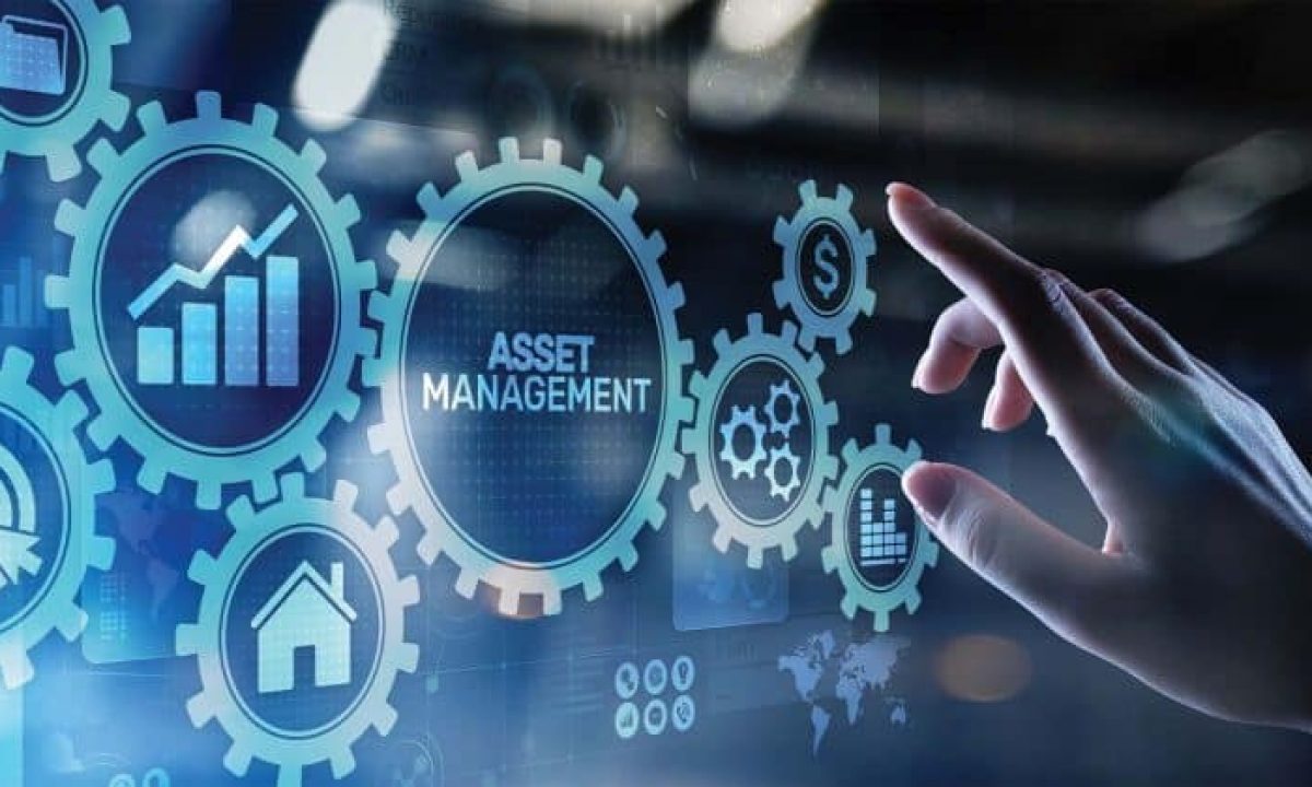 Asset Management: o que é e como utilizar nos ativos