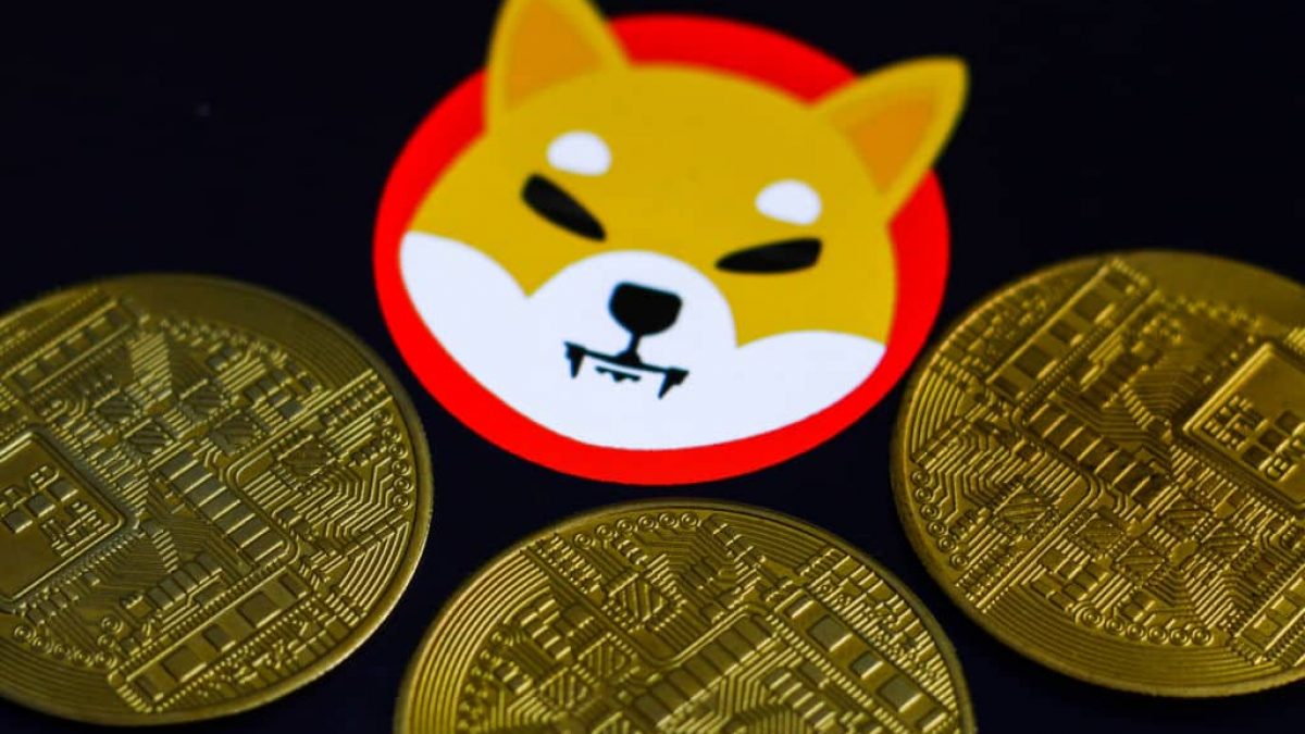 O que é Shiba Inu Coin e o que está por trás da disparada repentina