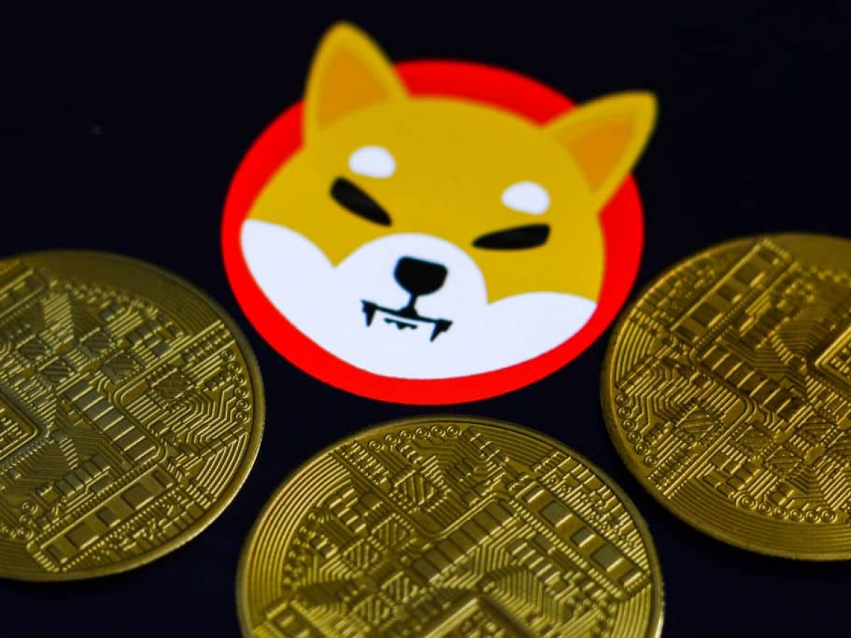 O que é Shiba Inu Coin e o que está por trás da disparada repentina