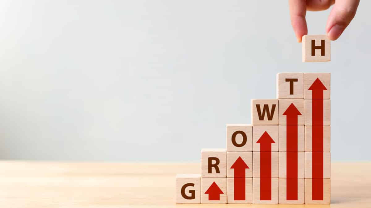 O que são growth stocks: como encontrar ações que podem crescer? O que são growth stocks: como encontrar ações que podem crescer?