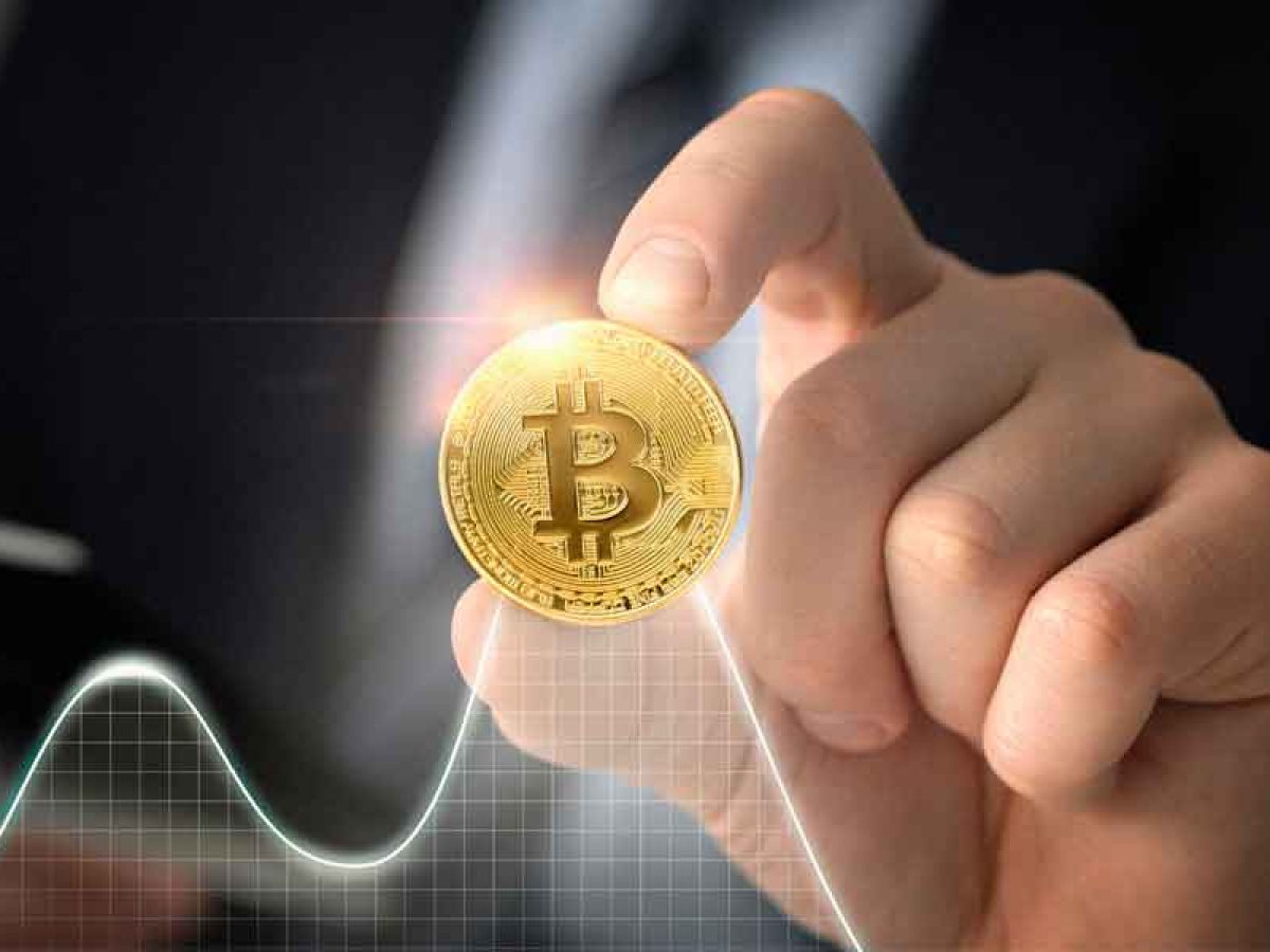 Hard wallet: o que é, como funciona, quanto custa? – Investidor Sardinha