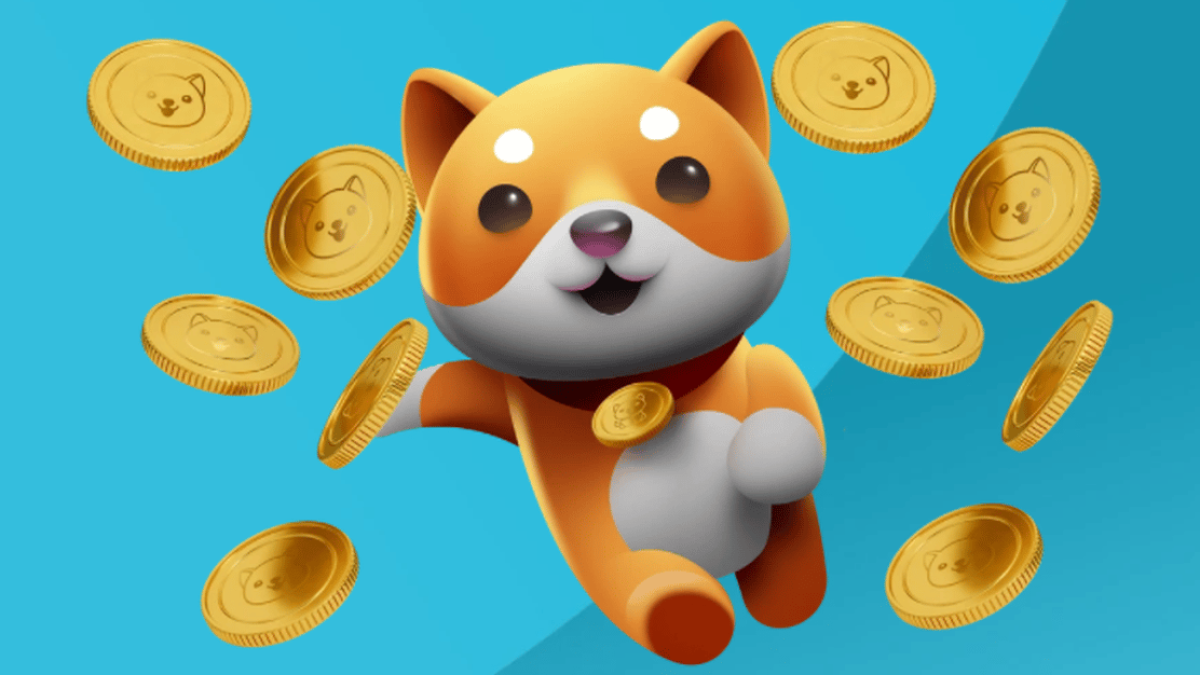 Baby Doge Coin: saiba como comprar e como funciona a moeda – Investidor  Sardinha