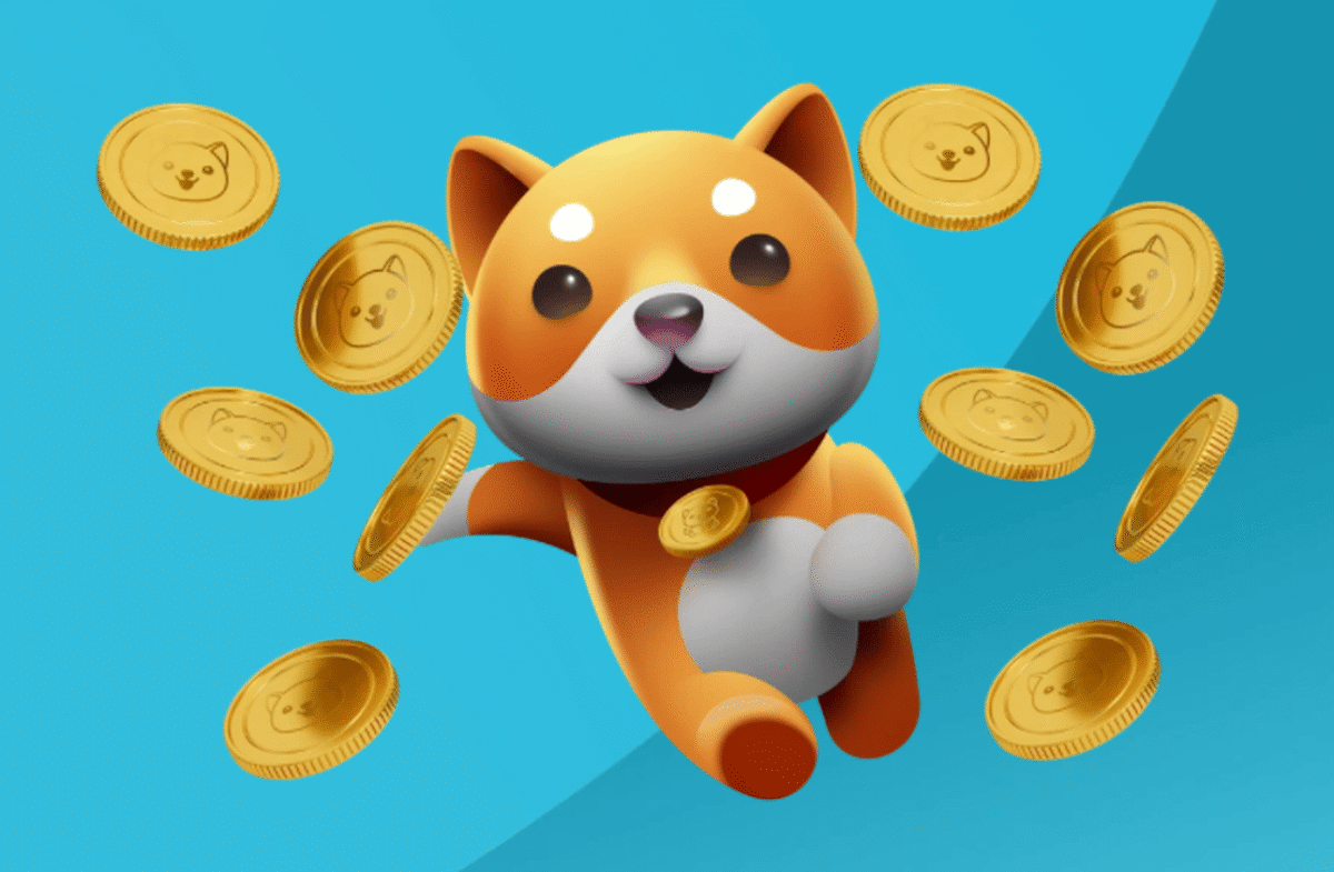 Baby Doge Coin: saiba como comprar e como funciona a moeda – Investidor  Sardinha