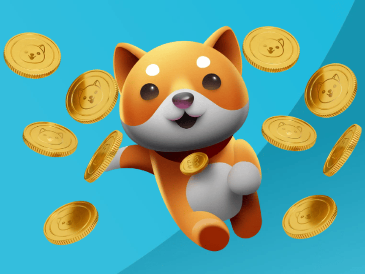 Baby Doge Coin: saiba como comprar e como funciona a moeda – Investidor  Sardinha