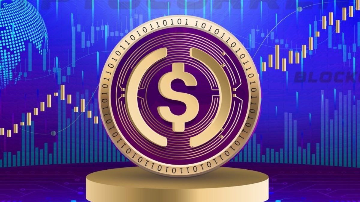 USD Coin: o que, como funciona e diferenciais da criptomoeda – Investidor  Sardinha
