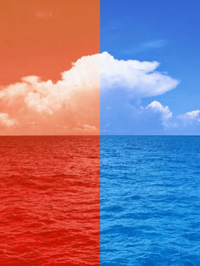 Oceano azul X Oceano vermelho: quais são as diferenças entre as estratégias de mercado?