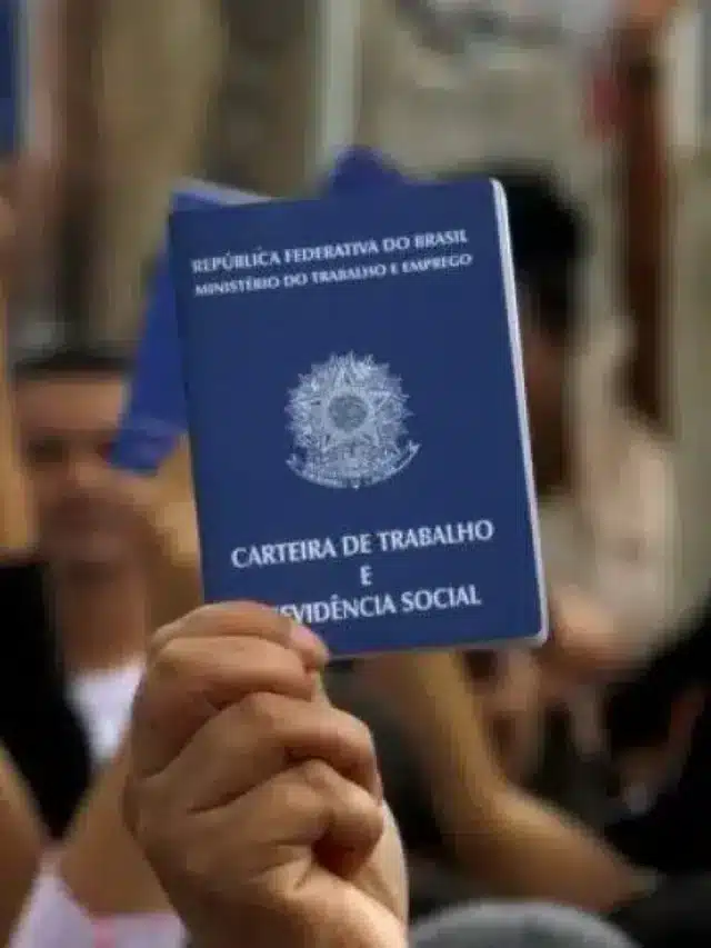 Quais são os tipos de desemprego?