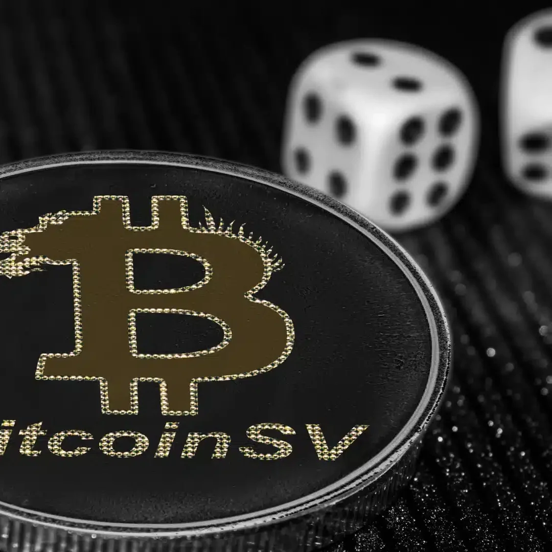 Bitcoin SV: o que é, como funciona, vantagens e desvantagens – Investidor  Sardinha
