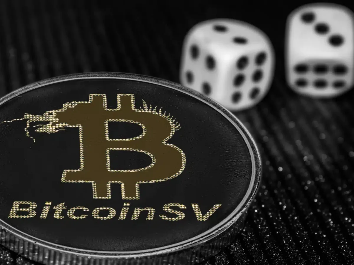 Bitcoin SV: o que é, como funciona, vantagens e desvantagens – Investidor  Sardinha